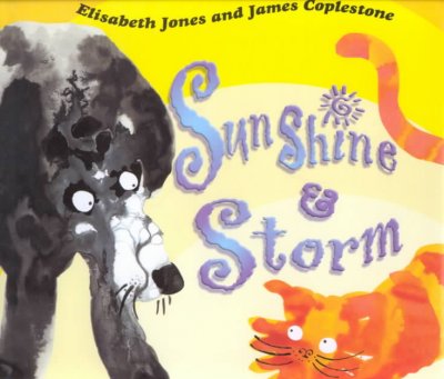 Sunshine & Storm / written by Elisabeth Jones ; illustrated by James Coplestone.