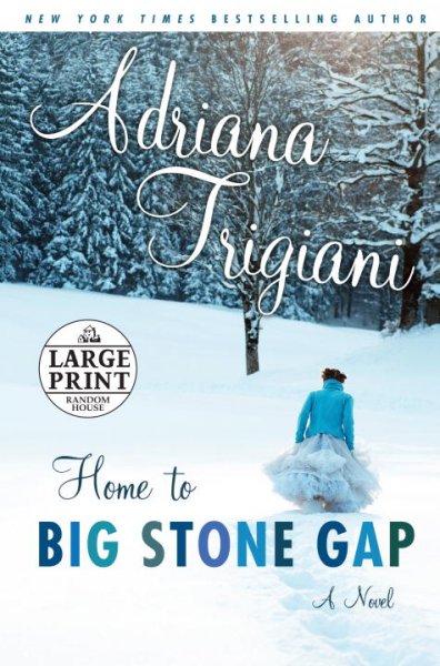 Home to Big Stone Gap : a novel / Adriana Trigiani.