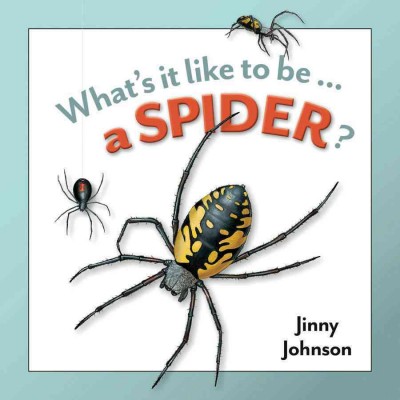 A spider / Jinny Johnson ; illustrated by Desiderio Sanzi.
