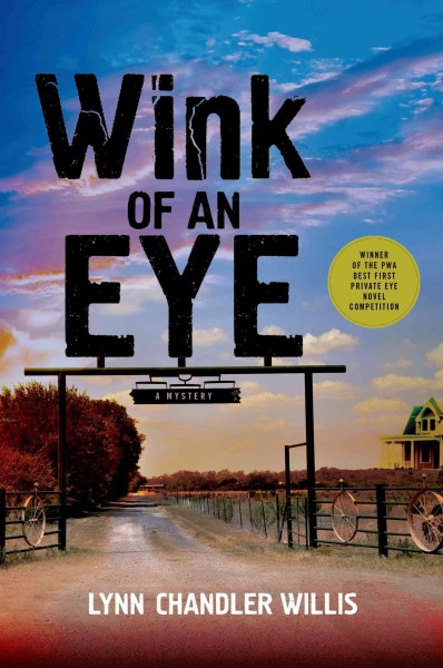 Wink of an eye / Lynn Chandler Willis.