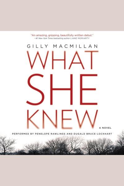 What she knew : a novel / Gilly MacMillan.