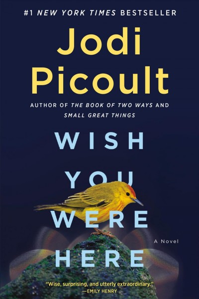 Wish you were here : a novel / Jodi Picoult.