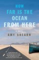 How far is the ocean from here a novel  Cover Image