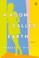 A room called earth  Cover Image
