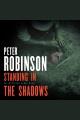 Standing in the shadows  Cover Image